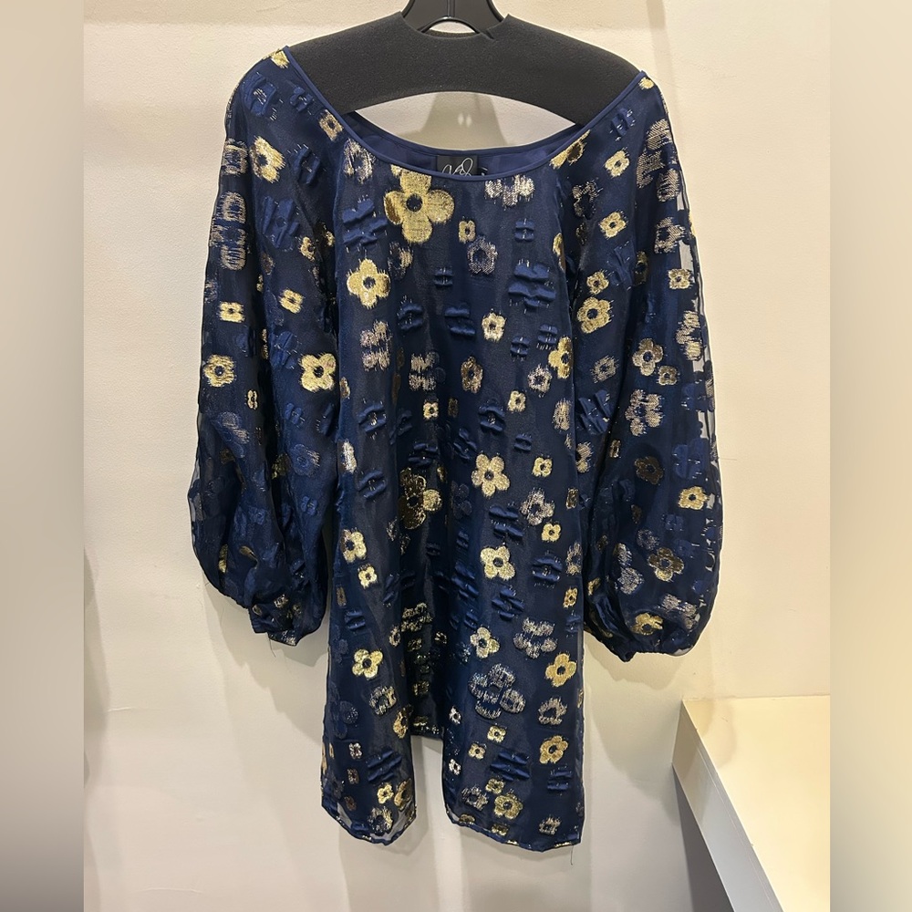 NWT Arianne elmy midnight blue good luck dress
